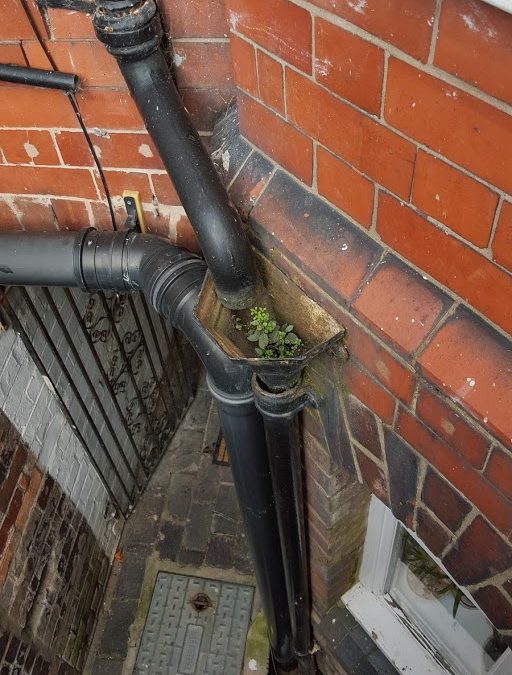 Blocked Downpipes?