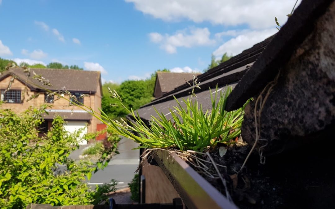 Why hot weather is hard on your gutters