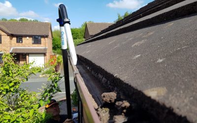 The longest dry spell: What does it mean for your gutters?