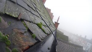 Gutter Cleaning