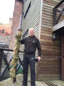 Gutter Cleaning Company Ian Reddi