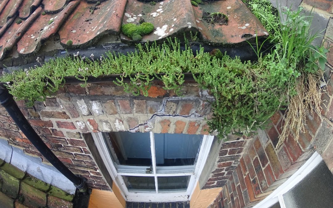 A recent Gutter Cleaning in Kings Lynn