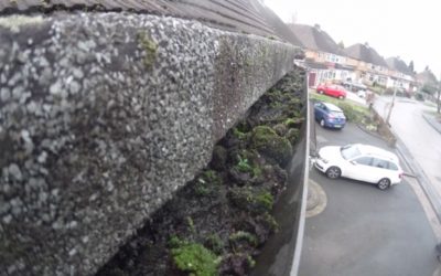Gutter Cleaning in Castle Bromwich Prevents Sweeping up the Moss