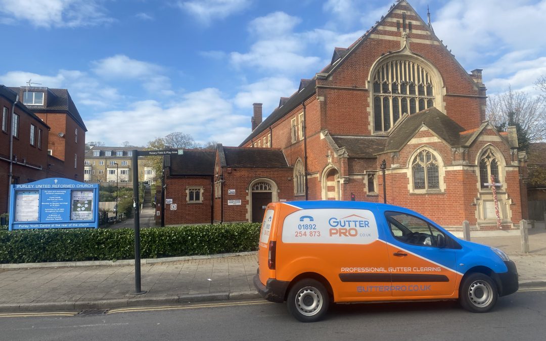 Gutter Cleaning Purley