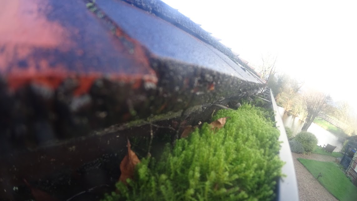 gutter-clutter Gutter Cleaning Bradford