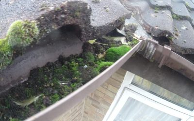 Why clean your gutters?