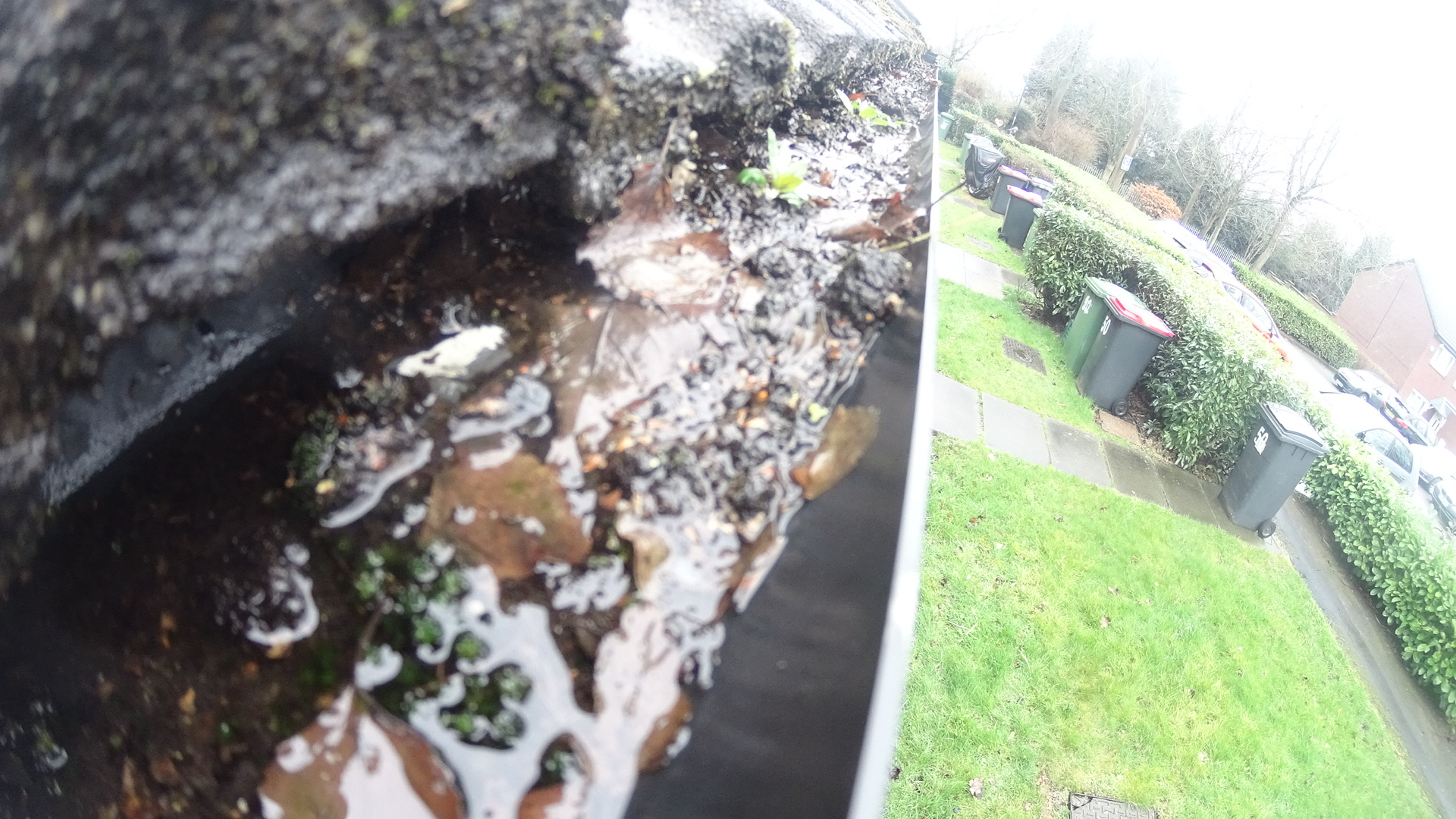 Before a Guttering Clean